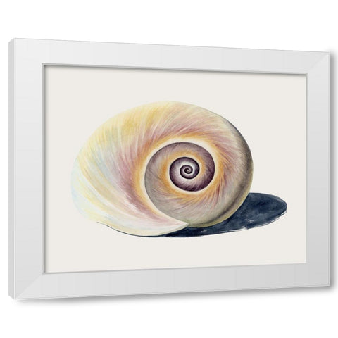 Spiraling II White Modern Wood Framed Art Print by Popp, Grace