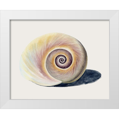 Spiraling II White Modern Wood Framed Art Print by Popp, Grace