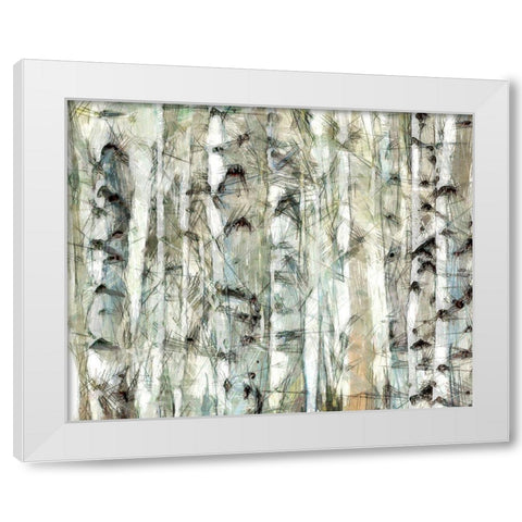 Birch Bunch I White Modern Wood Framed Art Print by Saunders, Alonzo