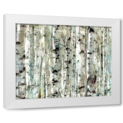 Birch Bunch II White Modern Wood Framed Art Print by Saunders, Alonzo