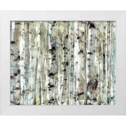 Birch Bunch II White Modern Wood Framed Art Print by Saunders, Alonzo
