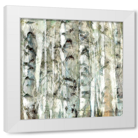 Birch Bunch III White Modern Wood Framed Art Print by Saunders, Alonzo