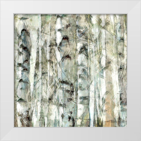 Birch Bunch III White Modern Wood Framed Art Print by Saunders, Alonzo