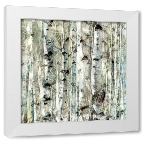 Birch Bunch IV White Modern Wood Framed Art Print by Saunders, Alonzo