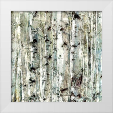 Birch Bunch IV White Modern Wood Framed Art Print by Saunders, Alonzo