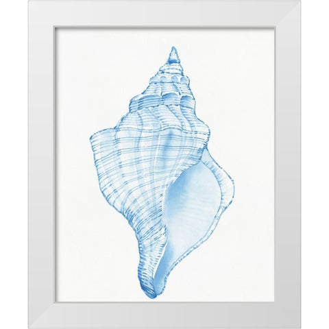 Blue Shell I White Modern Wood Framed Art Print by OToole, Tim