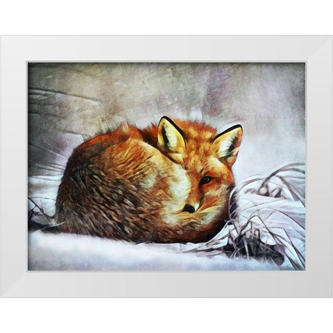 Red Fox Curl Up White Modern Wood Framed Art Print by Aldridge, Ashley