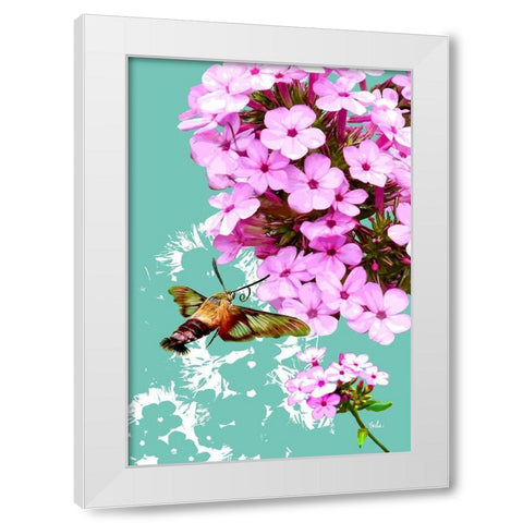 Clearwing On Flox White Modern Wood Framed Art Print by Evelia Designs