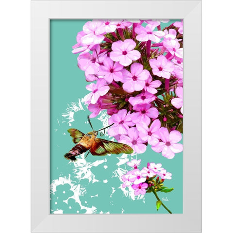 Clearwing On Flox White Modern Wood Framed Art Print by Evelia Designs