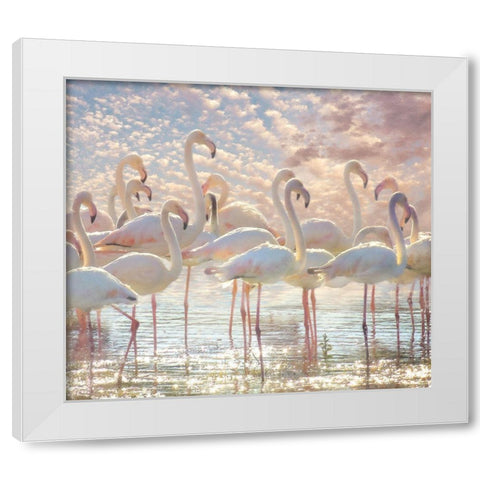 Quiet Wave of Pink White Modern Wood Framed Art Print by Hunziker, Steve