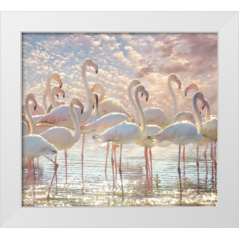 Quiet Wave of Pink White Modern Wood Framed Art Print by Hunziker, Steve