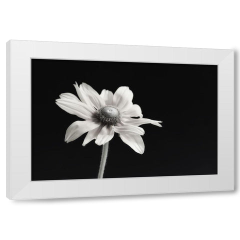 Elegance Floral I White Modern Wood Framed Art Print by Poinski, Dianne