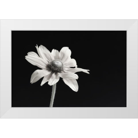 Elegance Floral I White Modern Wood Framed Art Print by Poinski, Dianne