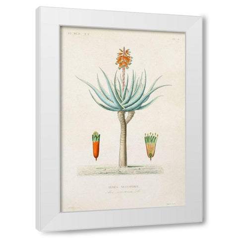 Antique Tree with Fruit I White Modern Wood Framed Art Print by Unknown