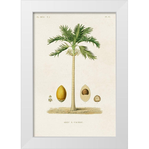 Antique Tree with Fruit II White Modern Wood Framed Art Print by Unknown