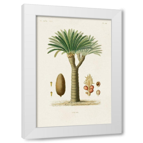 Antique Tree with Fruit V White Modern Wood Framed Art Print by Unknown