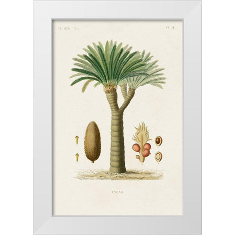 Antique Tree with Fruit V White Modern Wood Framed Art Print by Unknown