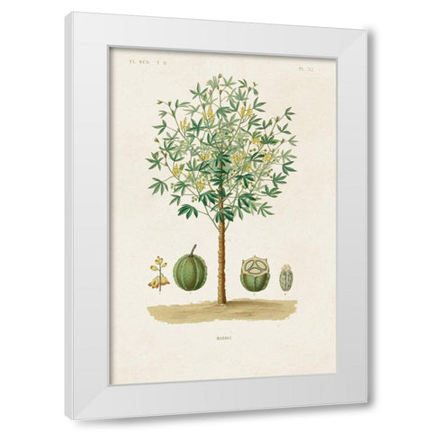 Antique Tree with Fruit VIII White Modern Wood Framed Art Print by Unknown