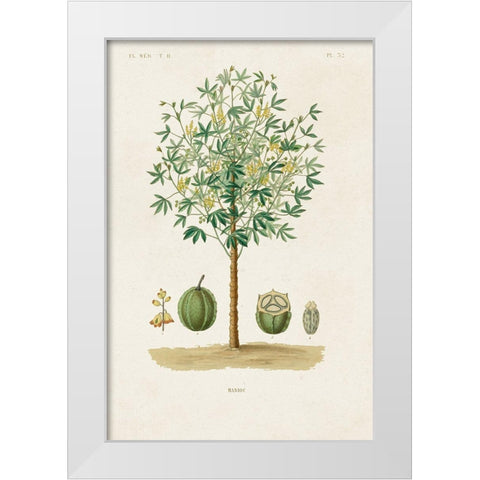 Antique Tree with Fruit VIII White Modern Wood Framed Art Print by Unknown