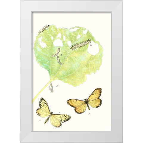 Antique Butterflies and Leaves II White Modern Wood Framed Art Print by Vision Studio