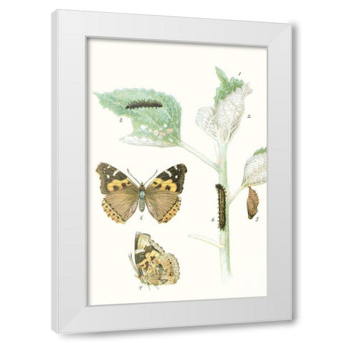 Antique Butterflies and Leaves III White Modern Wood Framed Art Print by Vision Studio