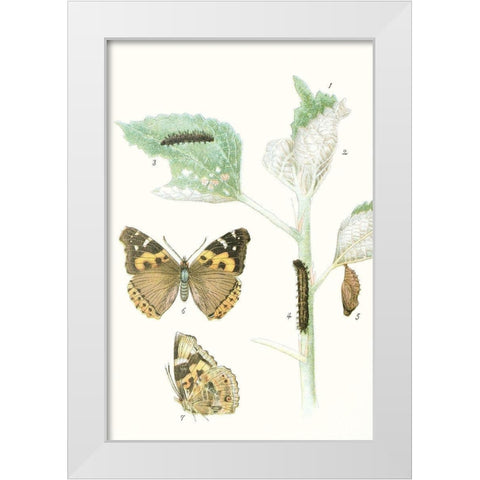 Antique Butterflies and Leaves III White Modern Wood Framed Art Print by Vision Studio