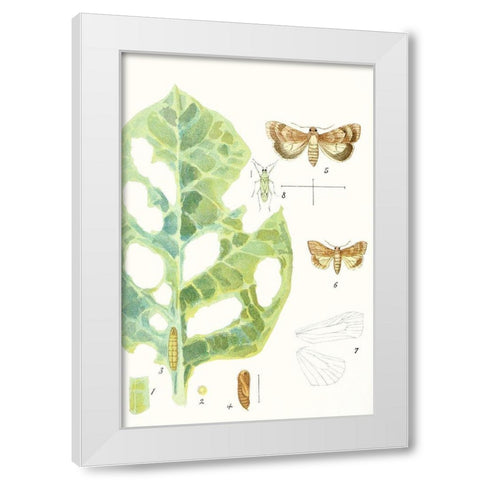 Antique Butterflies and Leaves IV White Modern Wood Framed Art Print by Vision Studio