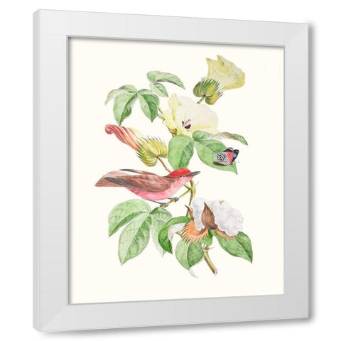 Cuvier Bird And Habitat III White Modern Wood Framed Art Print by Cuvier, Georges