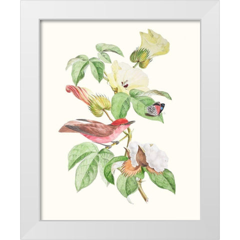 Cuvier Bird And Habitat III White Modern Wood Framed Art Print by Cuvier, Georges