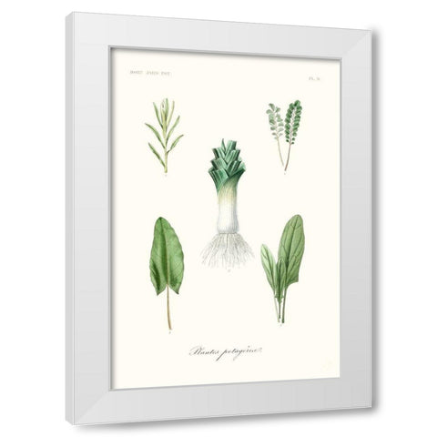 Fruit And Vegetable Varieties I White Modern Wood Framed Art Print by Unknown