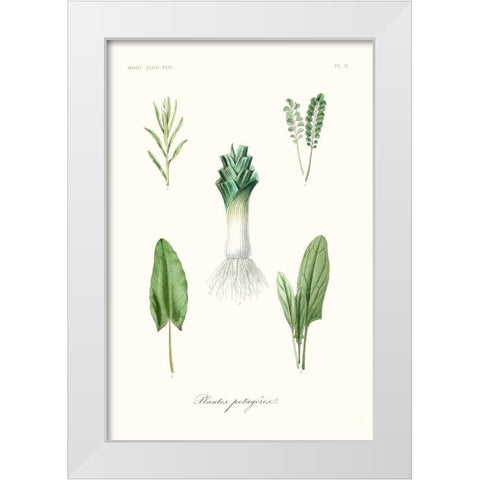 Fruit And Vegetable Varieties I White Modern Wood Framed Art Print by Unknown