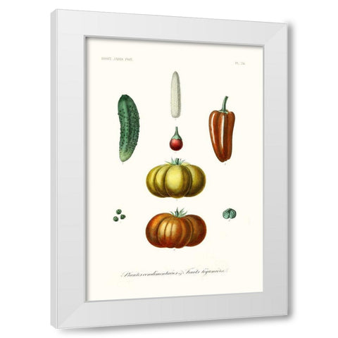 Fruit And Vegetable Varieties III White Modern Wood Framed Art Print by Unknown