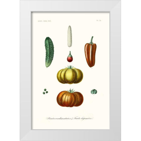 Fruit And Vegetable Varieties III White Modern Wood Framed Art Print by Unknown