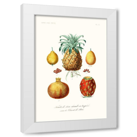 Fruit And Vegetable Varieties V White Modern Wood Framed Art Print by Unknown