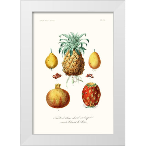 Fruit And Vegetable Varieties V White Modern Wood Framed Art Print by Unknown