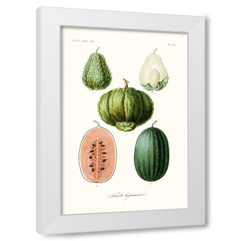 Fruit And Vegetable Varieties VIII White Modern Wood Framed Art Print by Unknown