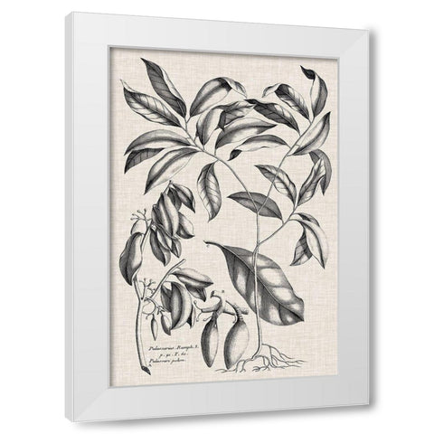 Custom Black And Oatmeal Linen Botanical I White Modern Wood Framed Art Print by Vision Studio