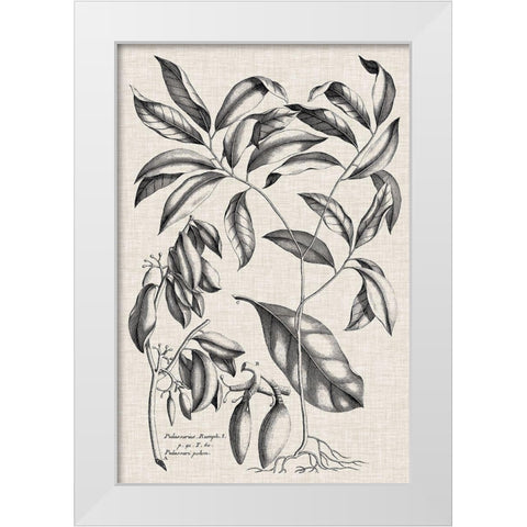 Custom Black And Oatmeal Linen Botanical I White Modern Wood Framed Art Print by Vision Studio