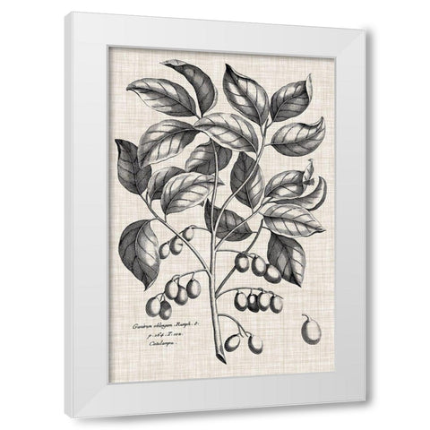 Custom Black And Oatmeal Linen Botanical II White Modern Wood Framed Art Print by Vision Studio