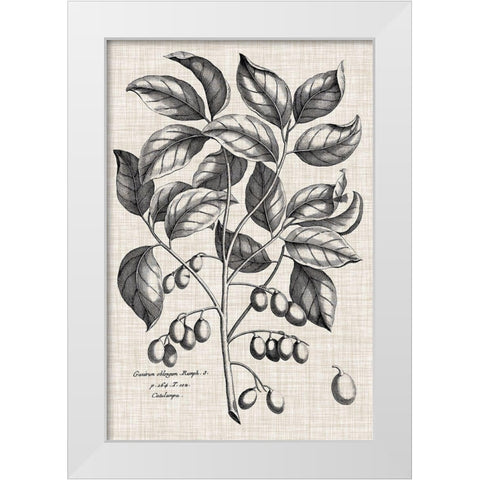 Custom Black And Oatmeal Linen Botanical II White Modern Wood Framed Art Print by Vision Studio