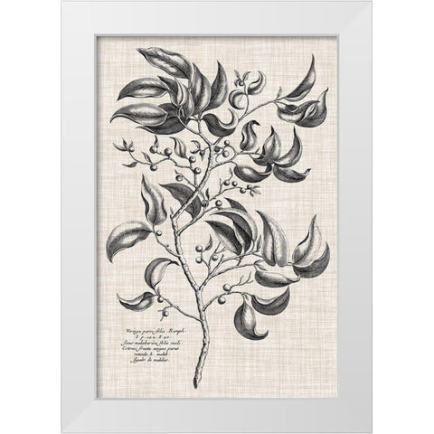 Custom Black And Oatmeal Linen Botanical III White Modern Wood Framed Art Print by Vision Studio
