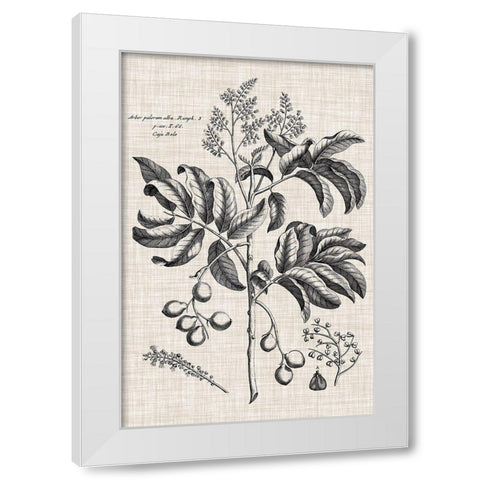 Custom Black And Oatmeal Linen Botanical IV White Modern Wood Framed Art Print by Vision Studio