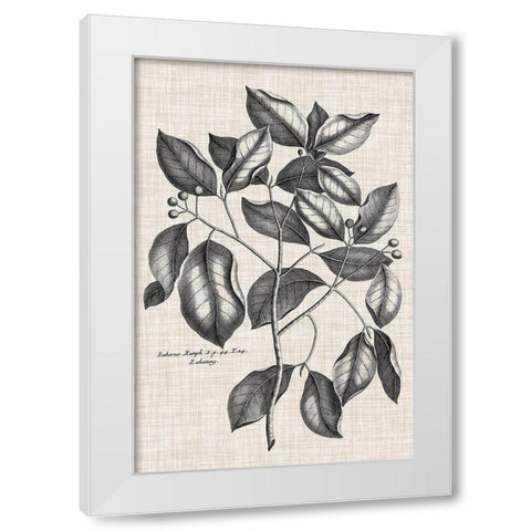 Custom Black And Oatmeal Linen Botanical VII White Modern Wood Framed Art Print by Vision Studio