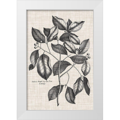 Custom Black And Oatmeal Linen Botanical VII White Modern Wood Framed Art Print by Vision Studio