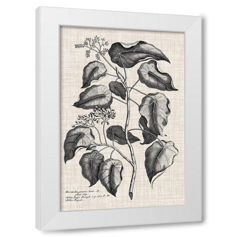 Custom Black And Oatmeal Linen Botanical VIII White Modern Wood Framed Art Print by Vision Studio