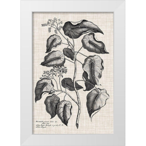 Custom Black And Oatmeal Linen Botanical VIII White Modern Wood Framed Art Print by Vision Studio