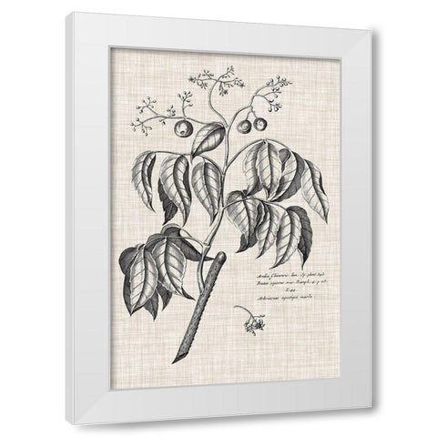 Custom Black And Oatmeal Linen Botanical IX White Modern Wood Framed Art Print by Vision Studio