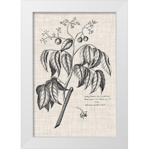 Custom Black And Oatmeal Linen Botanical IX White Modern Wood Framed Art Print by Vision Studio