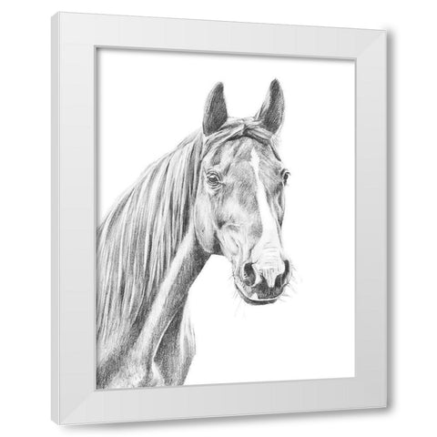 Equine Portrait Sketch I White Modern Wood Framed Art Print by Warren, Annie