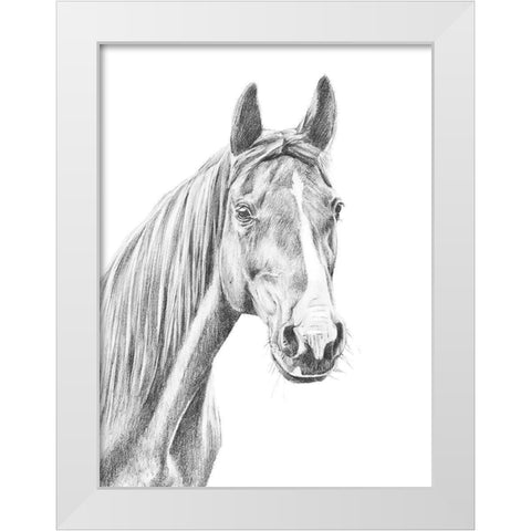 Equine Portrait Sketch I White Modern Wood Framed Art Print by Warren, Annie